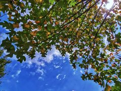 -磐安舞龙峡景区