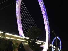 景点-南京眼步行桥