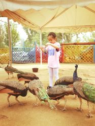 -萌宠亲子动物乐园(槐房万达店)