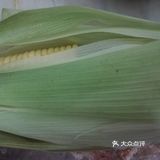 AB需要助消化的自制少味道的玉米汁