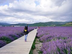 -叠溪松坪沟景区
