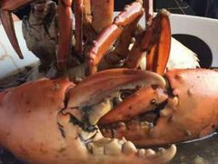 -Ministry of Crab(科伦坡店)