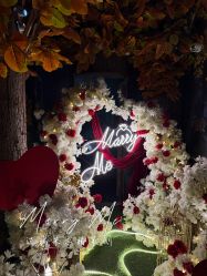 -迈瑞米求婚策划(静安店)