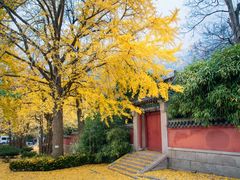 -青岛崂山太清宫