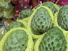 -三亚新鸿港水果一级批发市场