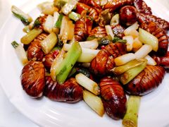 -日丰园海肠水饺·老字号大连海鲜(和平广场店)