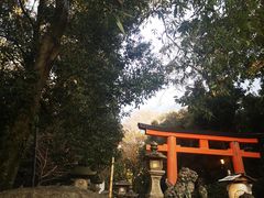 -奈良公园
