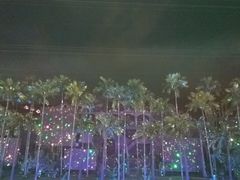 -三亚红色娘子军演艺公园景区
