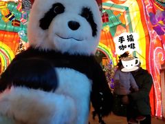 -国色天乡三期陆地乐园