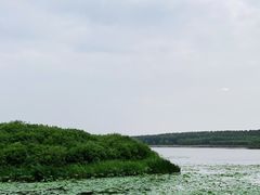 -丁香湖公园