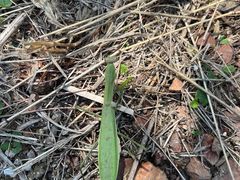 -沈阳辉山风景区