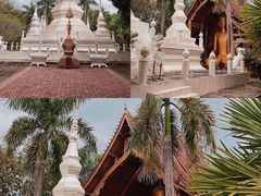 -西双版纳傣族园