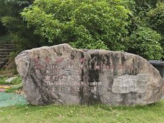 -金钉子远古世界景区