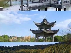 -游子山休闲旅游区