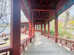 -北坞公园