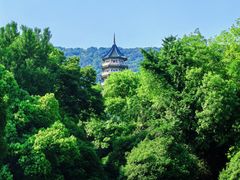 -灵谷景区