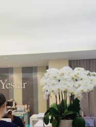 -Yestar宁波艺星整形医院