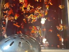 -海底捞火锅(金光华店)