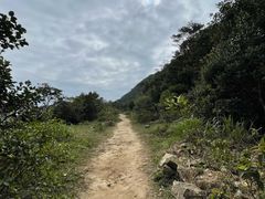 -梧桐山风景名胜区