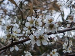 -雨花胜境