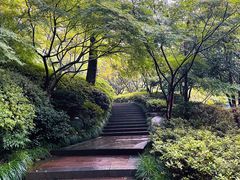 -杭州半山国家森林公园