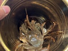 -领鲜活海鲜榴莲自助火锅(东门店)