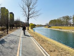 -坝河休闲公园