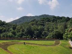 -广州市白云山风景名胜区