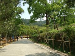 -田心森林公园