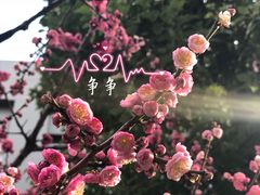-锡师附小学(学前街校区)