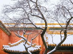 -故宫博物院(故宫)