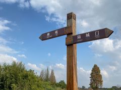 -良渚古城遗址公园