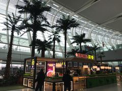 -合肥新桥国际机场-航站楼