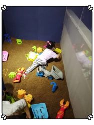 -幻贝家儿童乐园(苏州中心店)