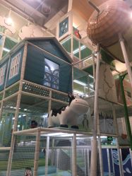 -meland club亲子乐园(石家庄万象城店)