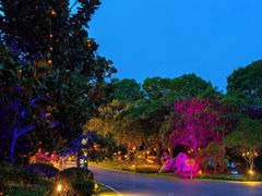 -南京银杏湖乐园