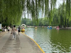 -团结湖公园