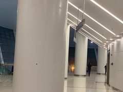 -梦之蓝青奥体育公园体育馆