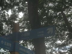 -梧桐山风景名胜区