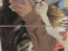 -袖虎·猫馆(体育西路店)