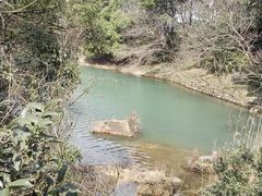 -白马涧龙池景区