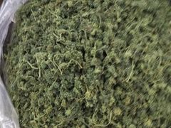 -清平中药材专业市场