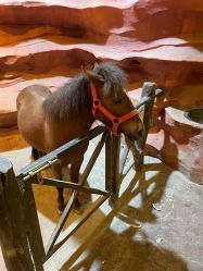 -酷嗒动物文化乐园(cutezoo西溪乐天城店)