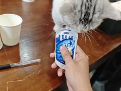 -剧狐剧本杀(徐汇1号店)