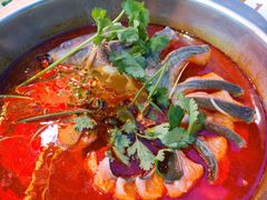 -老凯里酸汤鱼三十年老店