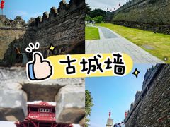-鼎香皇高佬苏裹蒸粽