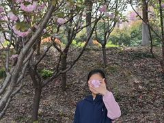 -朴园