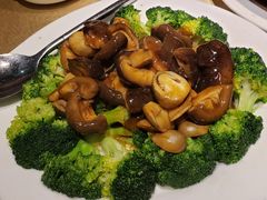 -翅爷家煲仔翅