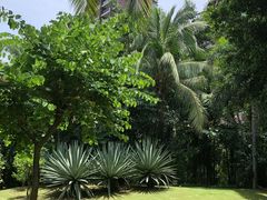 -三亚湾海居铂尔曼度假酒店