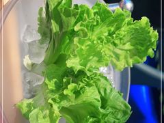 -王家渡火锅店(棕榈泉店)